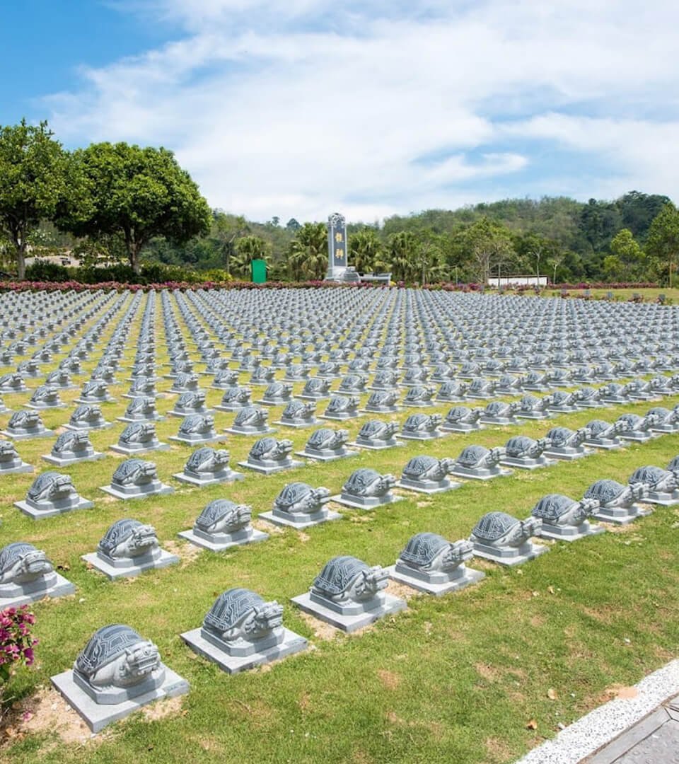 Legacy of NV Seed Legacy of NV Seed