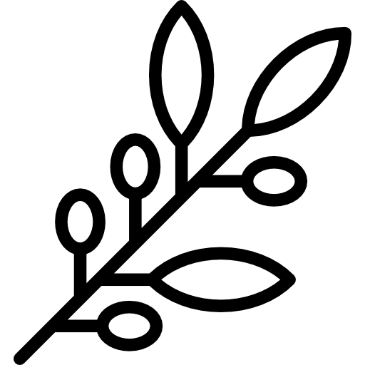 Peaceful Environment