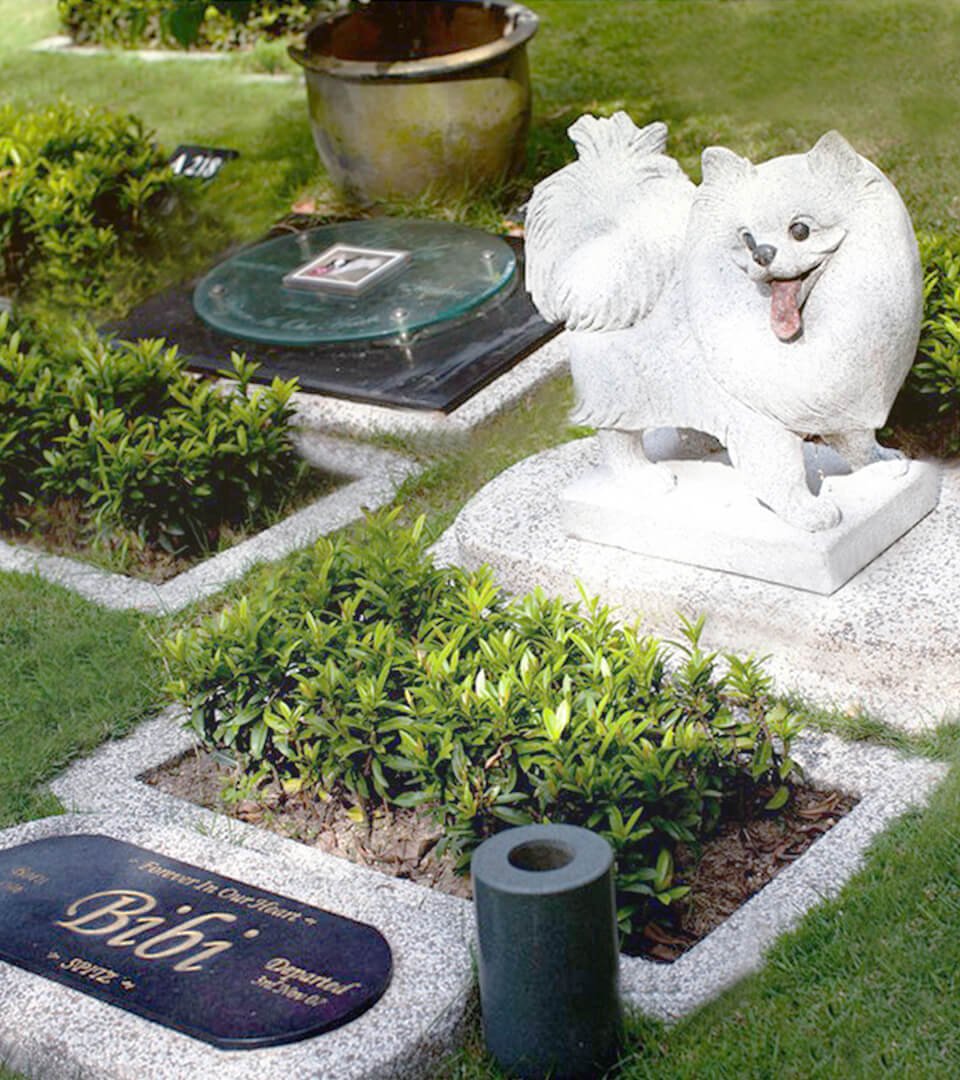 Why Choose Nv Pet Memorial Garden